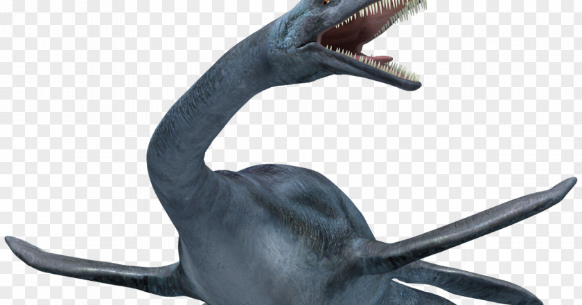 Sea Loch Ness Monster Reptile Plesiosauria PNG
