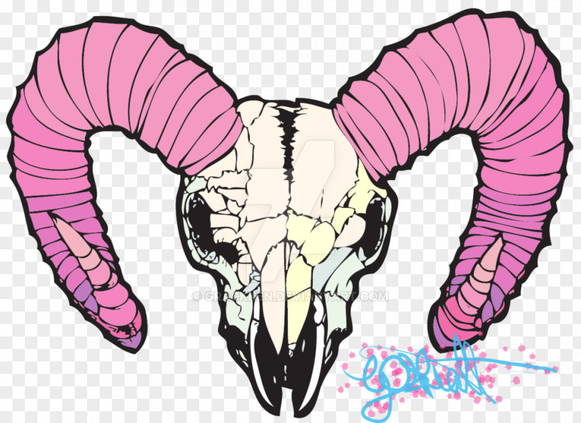 Skull Art Pastel Jaw Pink PNG