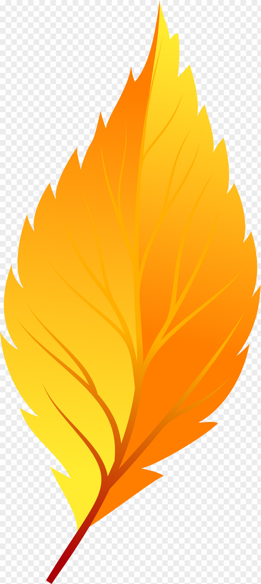Autumn Leaf Clip Art Transparency Illustration Color PNG