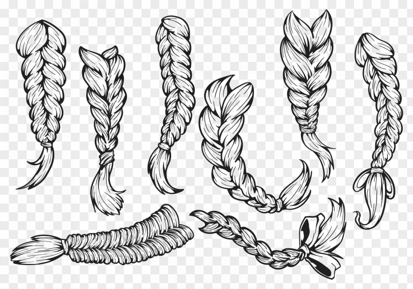 Braid French Drawing Art PNG