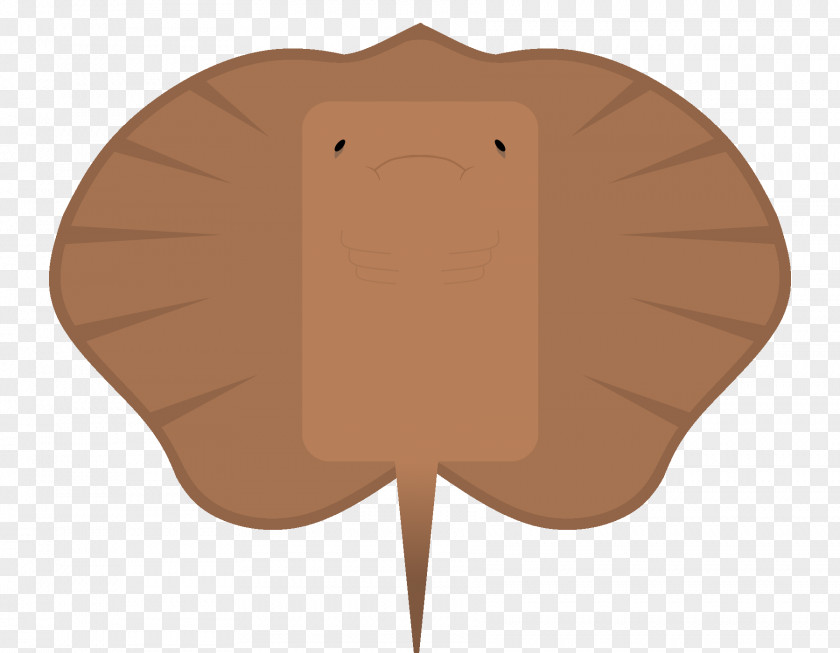 Clip Art Ocellate River Stingray Giant Freshwater Fresh Water PNG