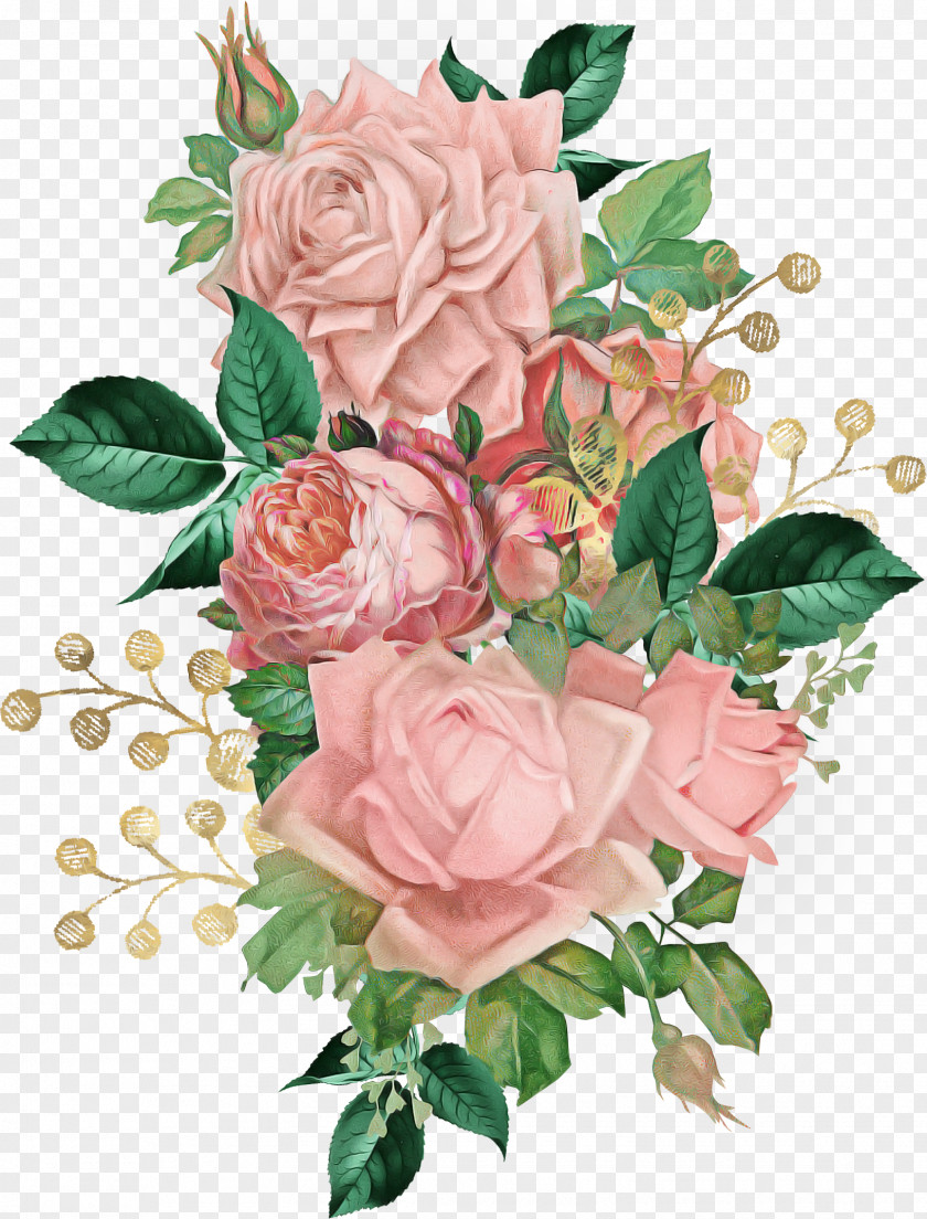Floribunda Rose Family Garden Roses PNG