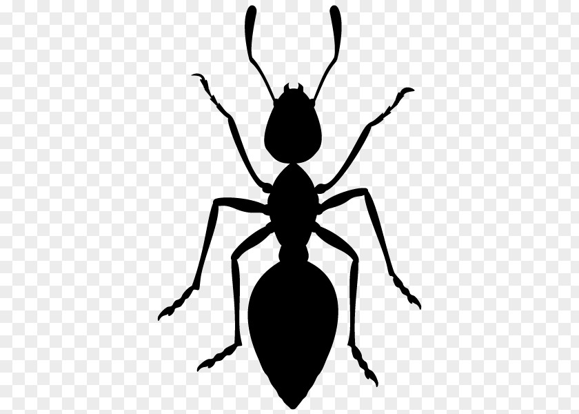Silhouette Ant Clip Art PNG