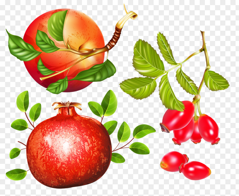 Apple Pomegranate Herb PNG
