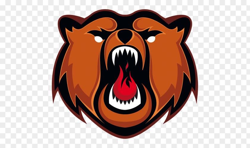 Bear Kuznetsk Bears Metallurgists Sports Palace Chelyabinsk Polar Metallurg Novokuznetsk PNG