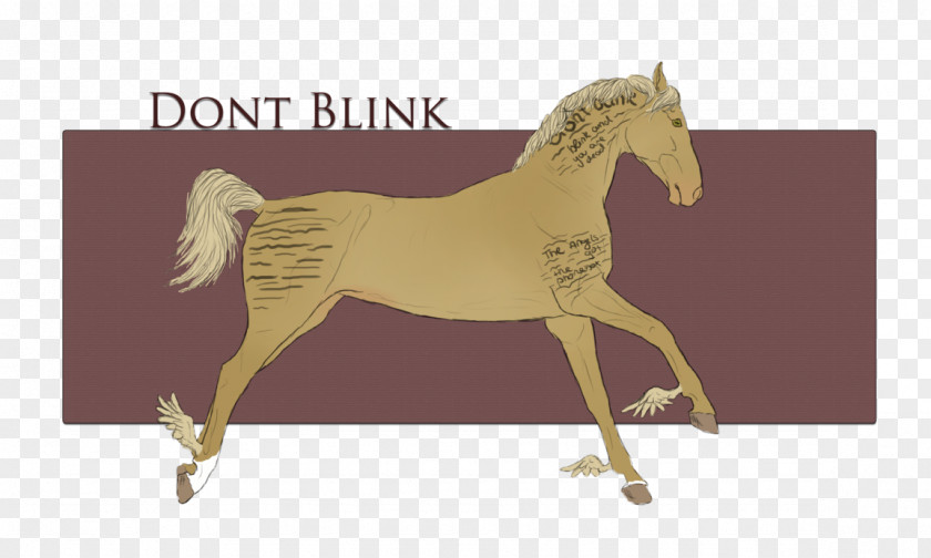 Blink Mustang Foal Stallion Colt Pony PNG