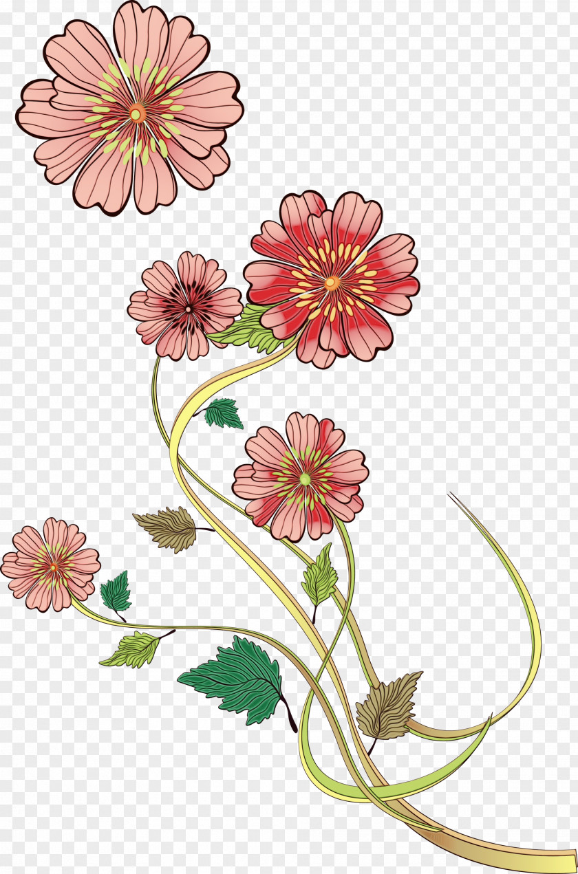Floral Design Pedicel PNG