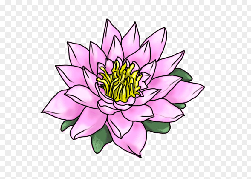 Flower Drawing Cartoon Painting PNG