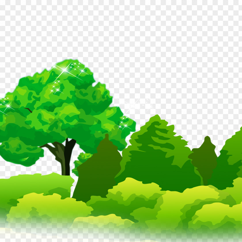 Forest Tree Download Leaf PNG