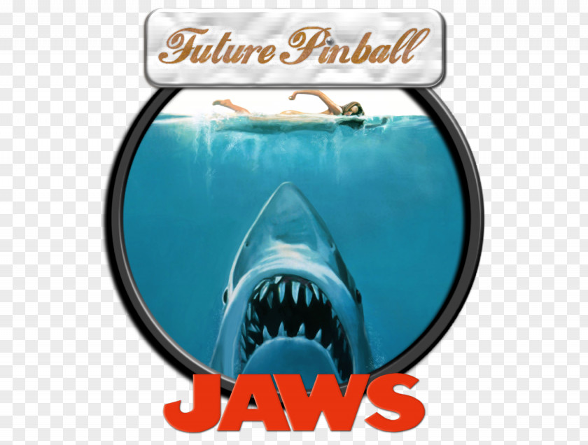 Jaws Film Poster Cinema PNG