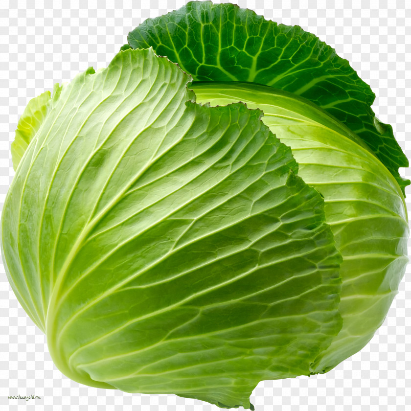 Cabbage Image Cauliflower Red White Vegetable Savoy PNG