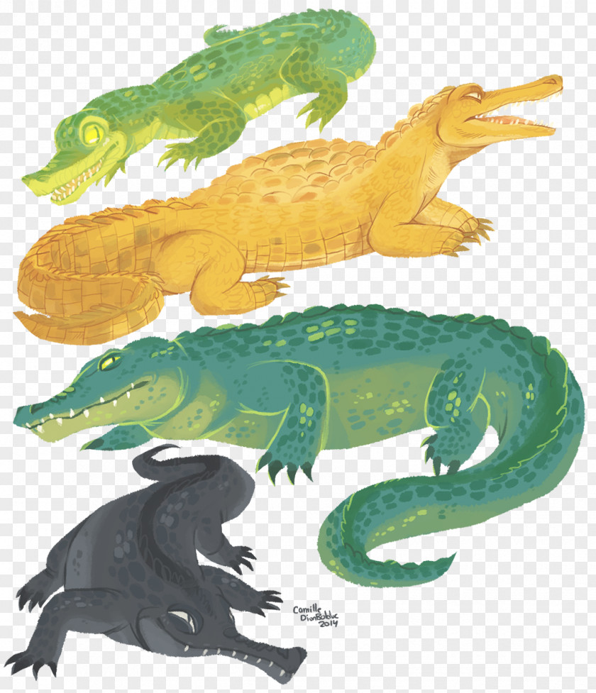 Crocodile Crocodiles Alligator Gharial Caiman PNG