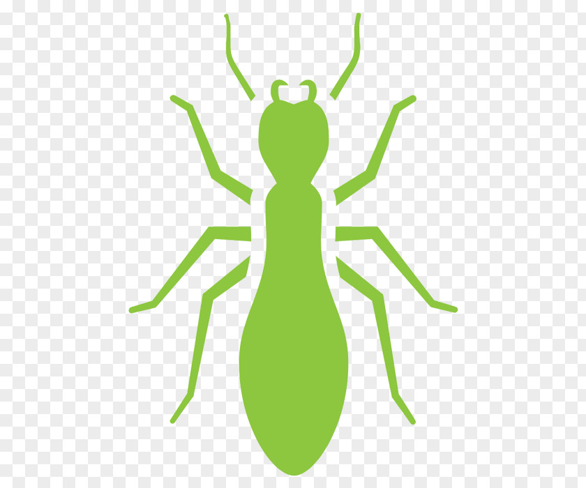 Pest Control Cockroach Mosquito Termite Ant PNG