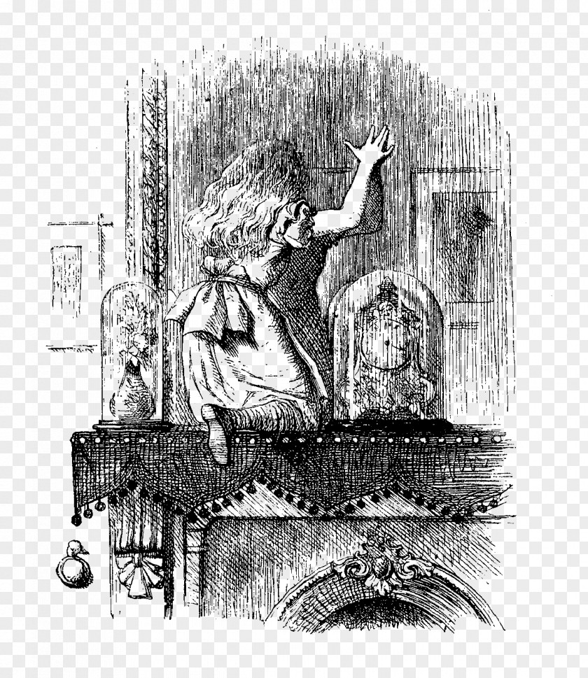 Tenniel Illustrations For Carroll's Alice In Wonderland Aliciae Per Speculum Transitus Alice's Adventures The Annotated Nursery 