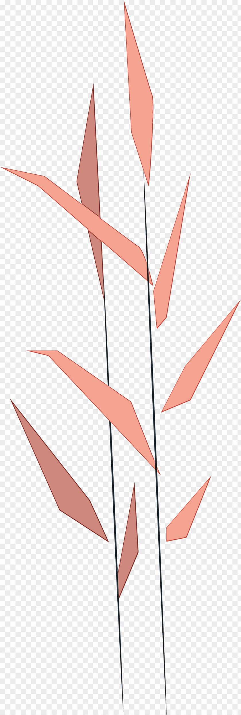Leaf Angle Line Point Pattern PNG