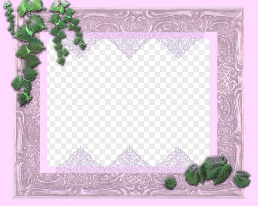 Pink Frame Border Picture Oil Painting Photography PNG