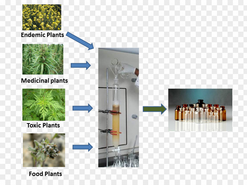 Plant Chemistry Brand PNG