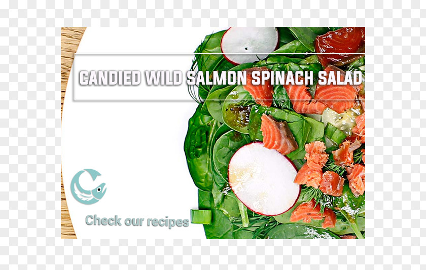 Salmon Salad Spinach Vegetable Sockeye PNG