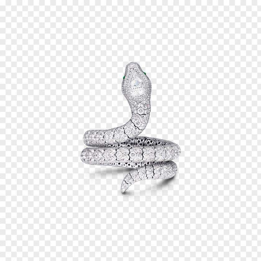 Silver Body Jewellery PNG