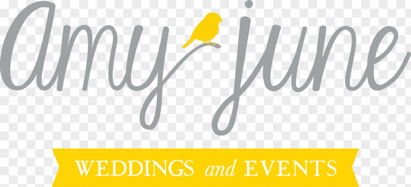 Teacher San Diego Blog School Amy June Weddings And Events PNG