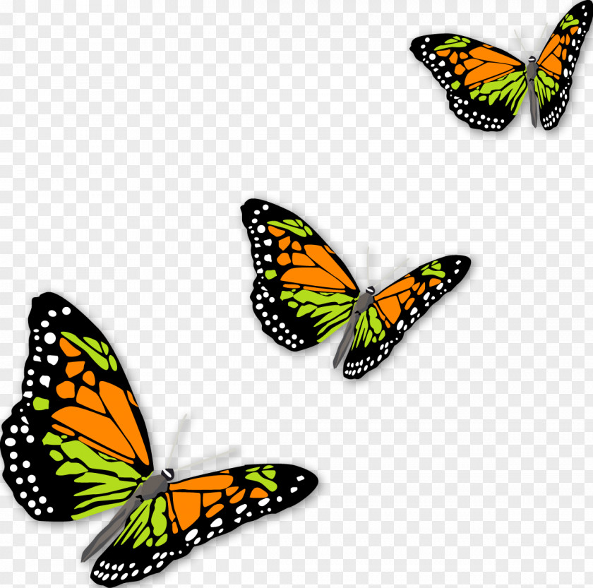 Butterfly Monarch Clip Art PNG