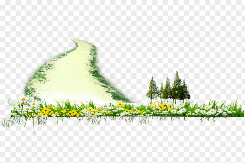 Country Road On Download PNG