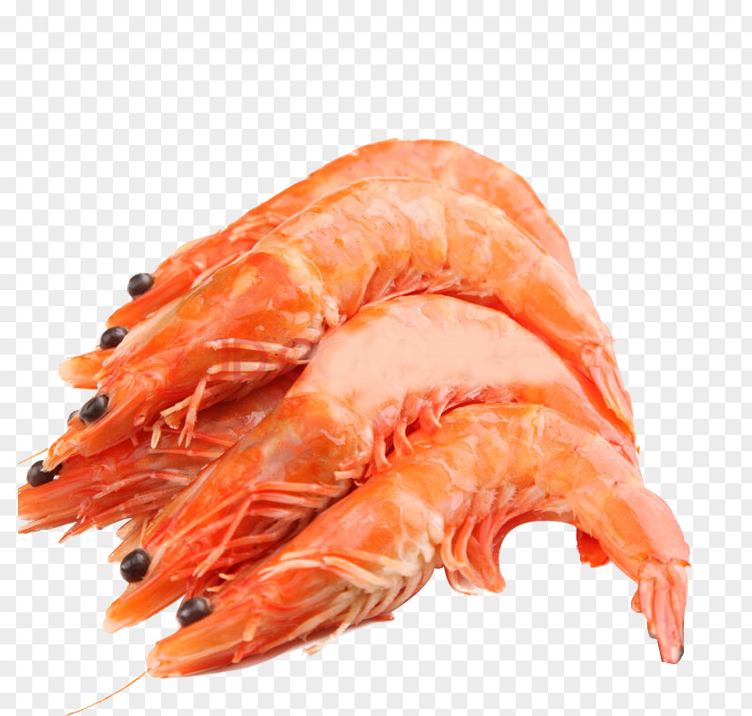 Fish And Lobster Image Caridea Prawn Shrimp Seafood PNG