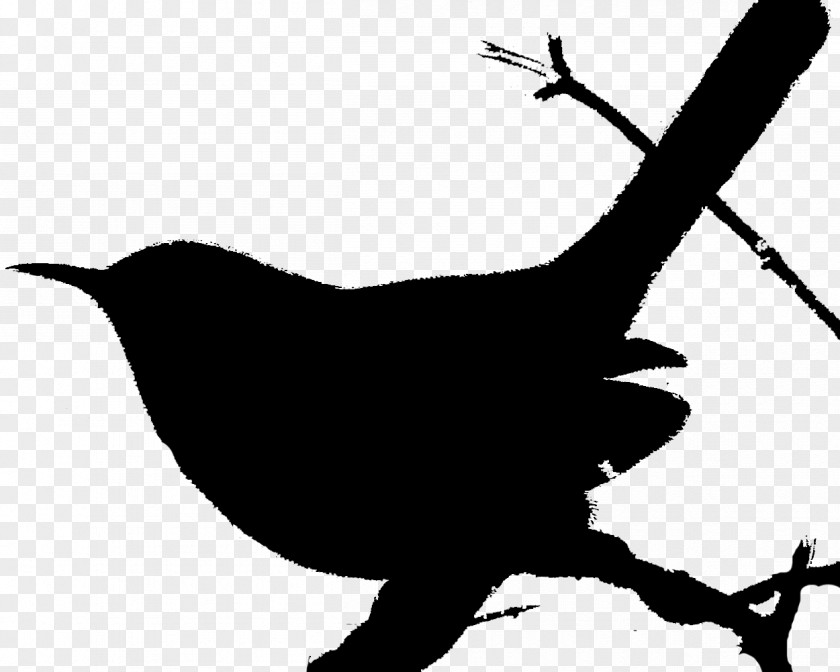 Bird House Wren Clip Art PNG