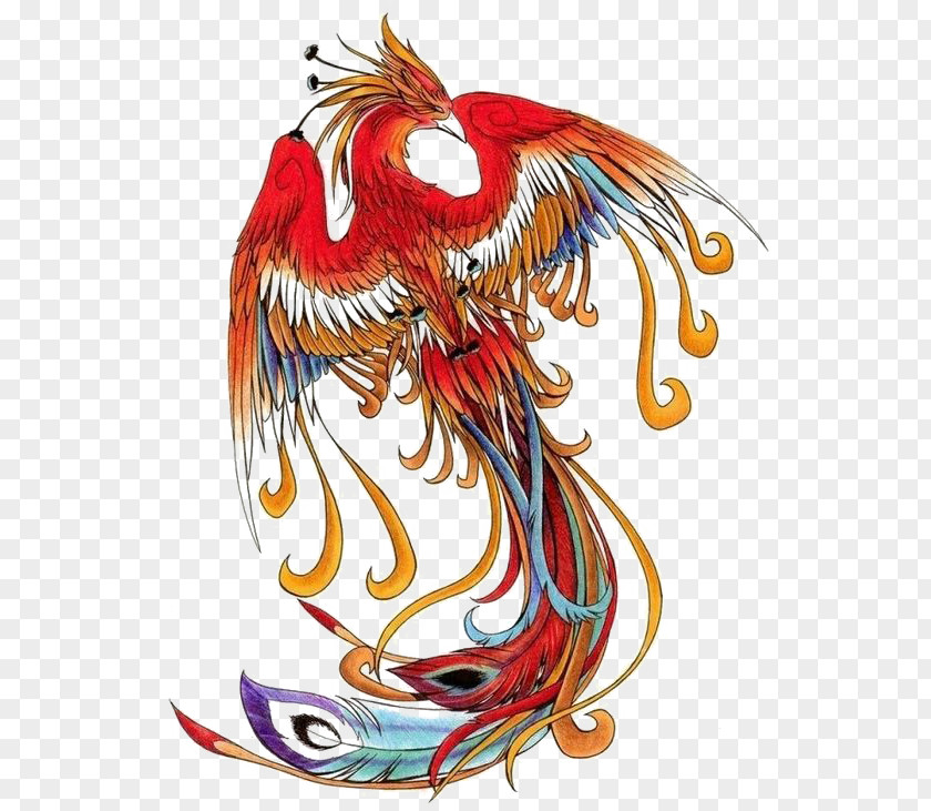 Chinese Wind Phoenix Simurgh PNG