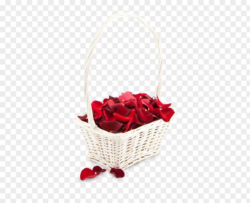 Flower Petal Garden Roses Image PNG