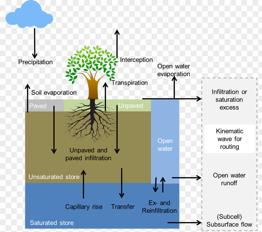 Line Water Tree Angle Diagram PNG