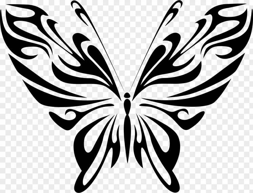 Blue Butterfly Line Art Drawing Clip PNG