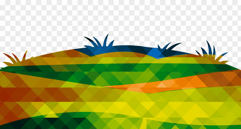 Color Grass Lawn PNG