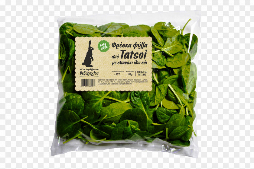 Farm Fresh Romaine Lettuce Veziroglou, A., & SIA E.E. Spinach Leaf Vegetable Tatsoi PNG