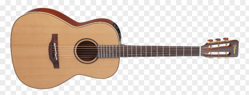 Guitar Pro Steel-string Acoustic Acoustic-electric Parlor PNG