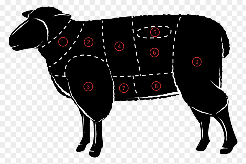 Rack Of Lamb Sheep And Mutton PNG