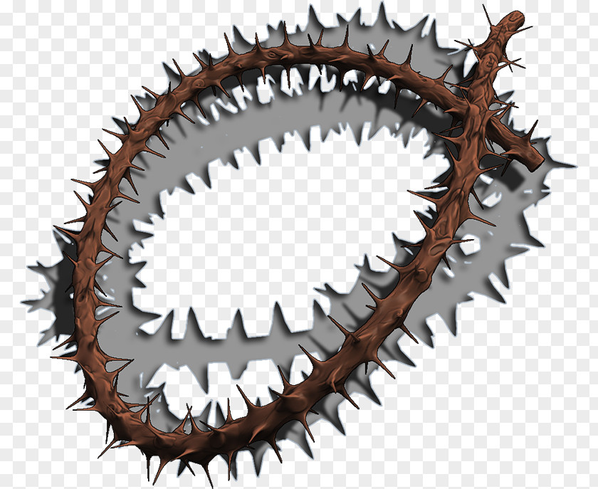 Thorns CROWN Crown Of Thorns, Spines, And Prickles Blender ZBrush Poser PNG