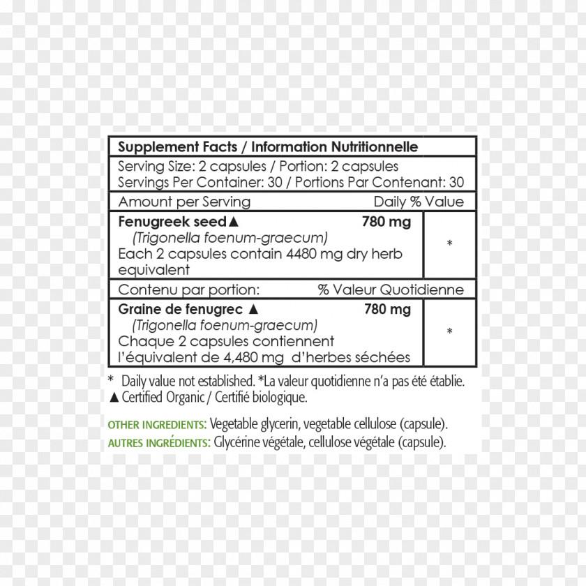 Line Document Angle PNG