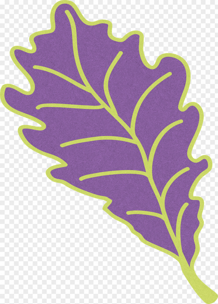 Purple Leaves Cattle Leaf Violet Clip Art PNG