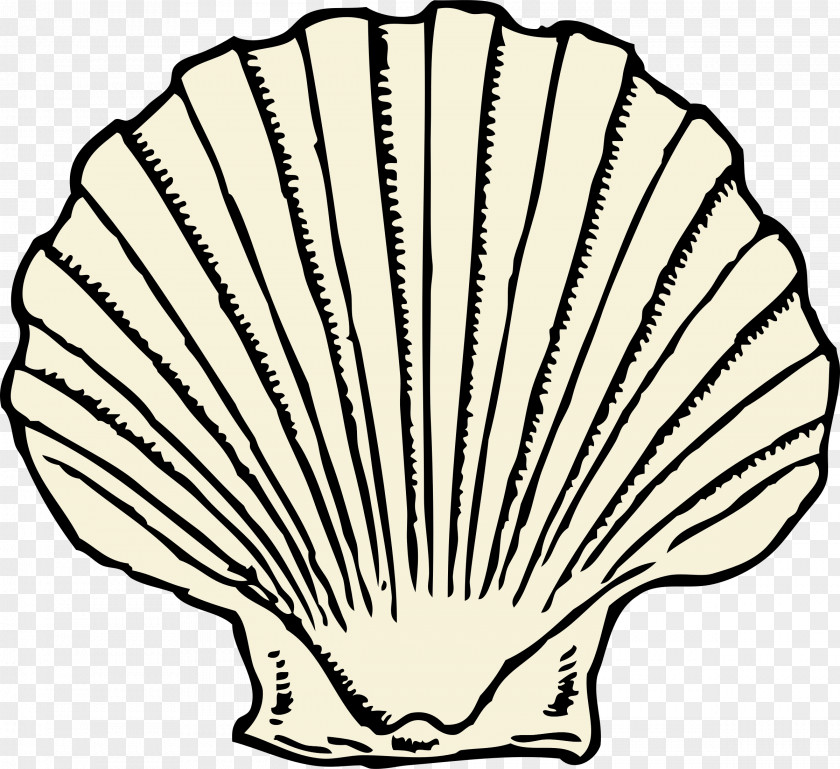Big Shell Cliparts Clam Seashell Free Content Clip Art PNG