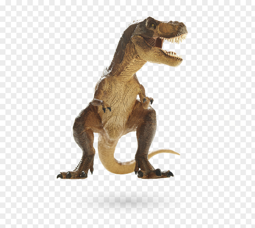 Dinosaur Tyrannosaurus Stock Photography Triceratops PNG