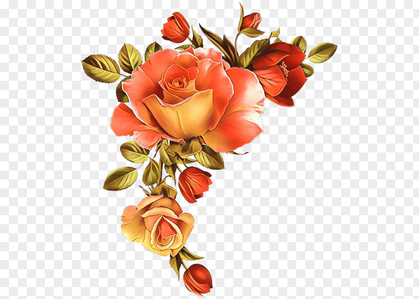 Garden Roses PNG