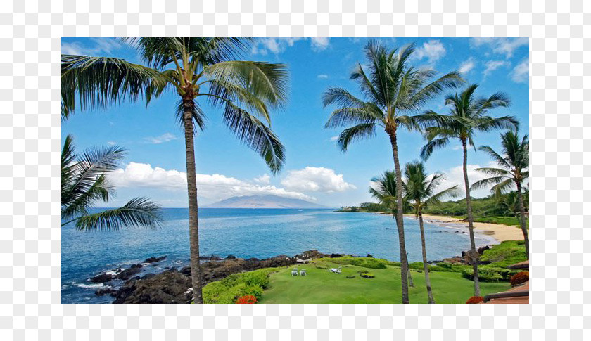 Hotel Wailea, Hawaii Makena, Makena Surf Chang's Beach PNG