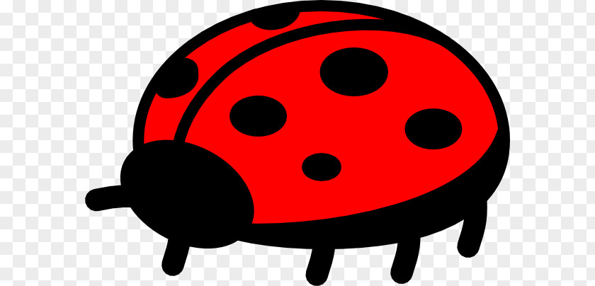 Ladybird Drawing Clip Art PNG