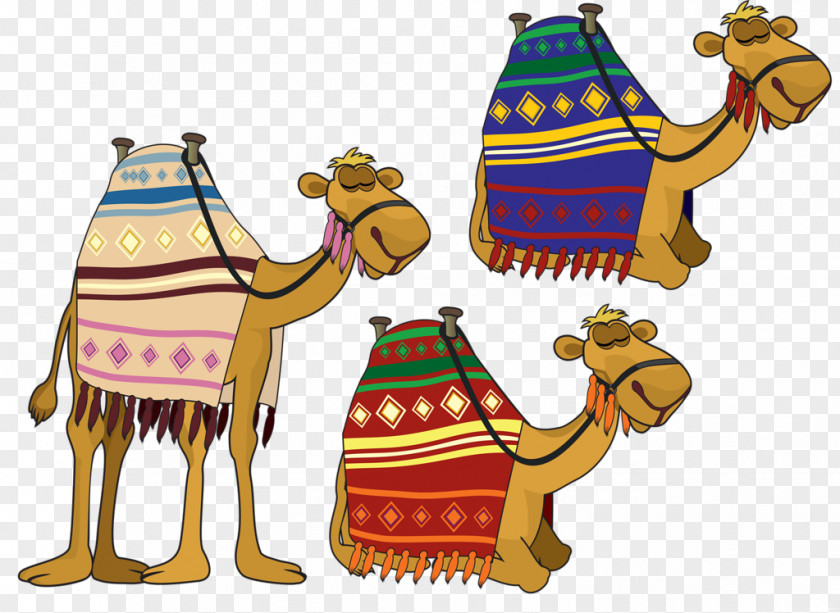 Wise Man Bactrian Camel Clip Art PNG