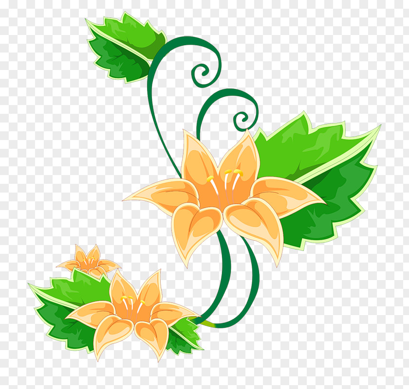 Flower Floral Design Clip Art Drawing Image PNG