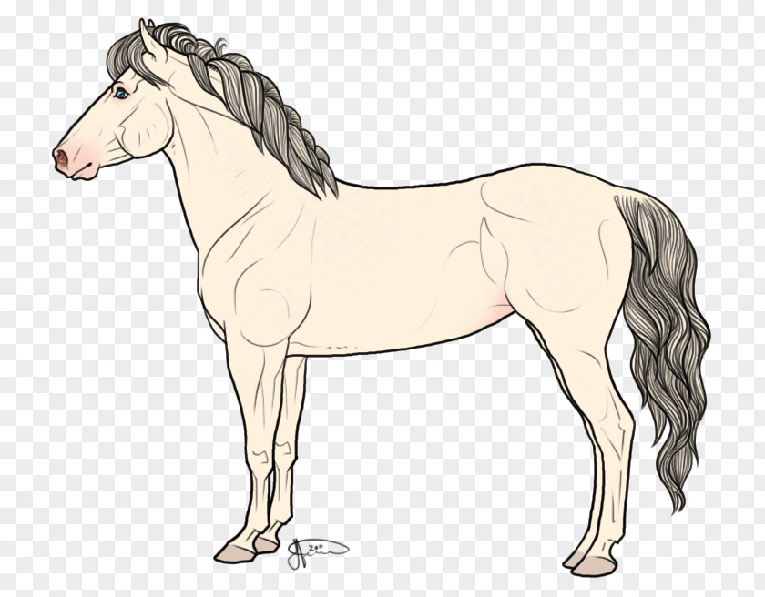 Icelandic Pony Mane Mustang Stallion Foal PNG