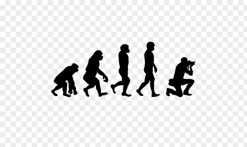 T-shirt Human Evolution Zazzle Clothing PNG