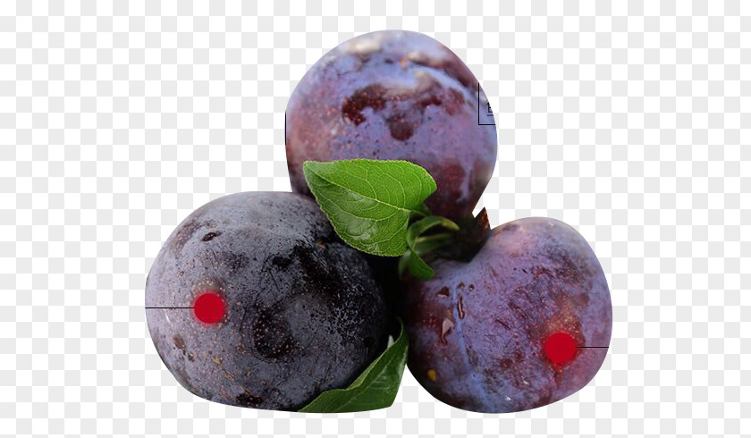 Blackberry Plum Material Blueberry Fruit PNG