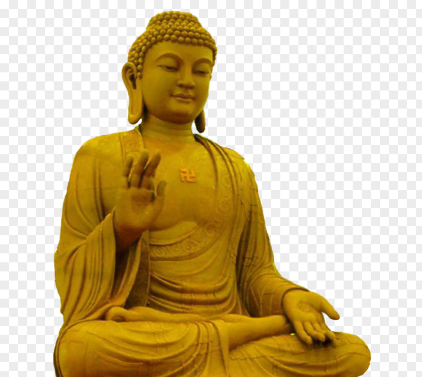 Buddha Image Tian Tan Gautama Daibutsu U91d1u9f0eu5927u4ecf Buddharupa PNG